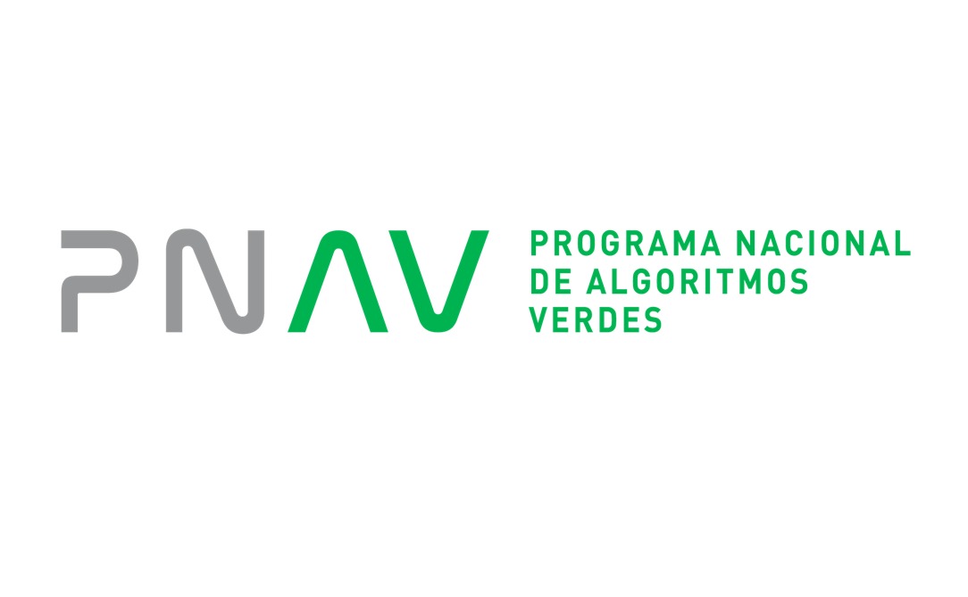 PNAV