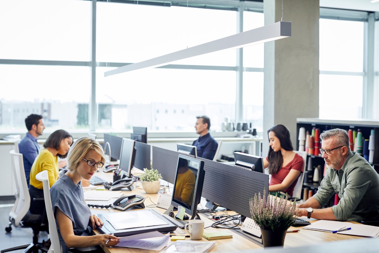 Business people working at desk. Male and female professionals are sitting by windows. Colleagues are sitting in textile industry.