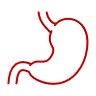 estomago