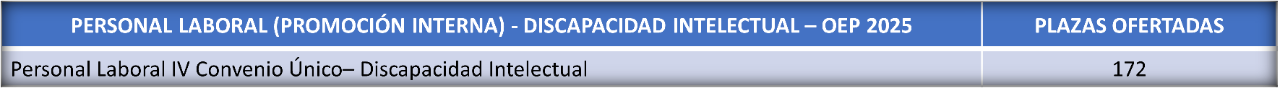 Plazas personal laboral interna discapacidad intelectual 2025