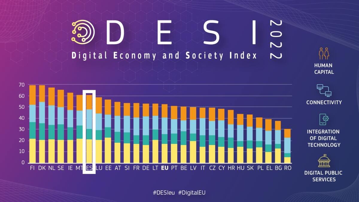 imatge informe DESI